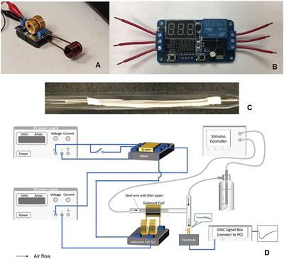 Induction Coil Heating Improves the Efficiency of Insect Olfactory Studies